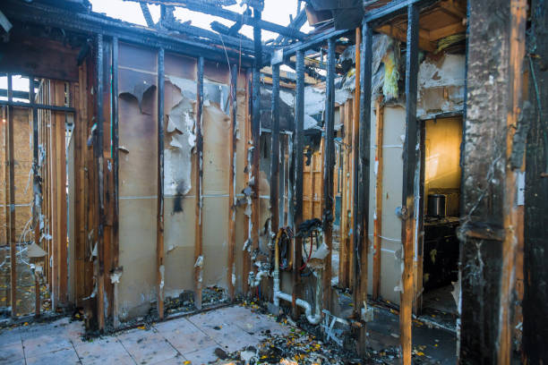 Professional Structural Rebuild technician working in Willits, CA